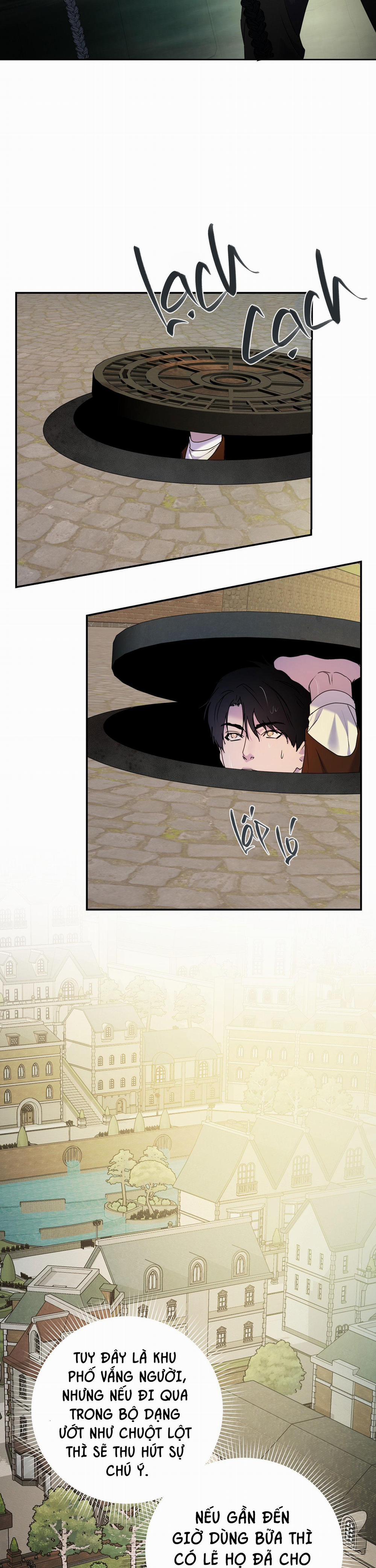 Đóa Hoa Của Alosha 32 trang 24