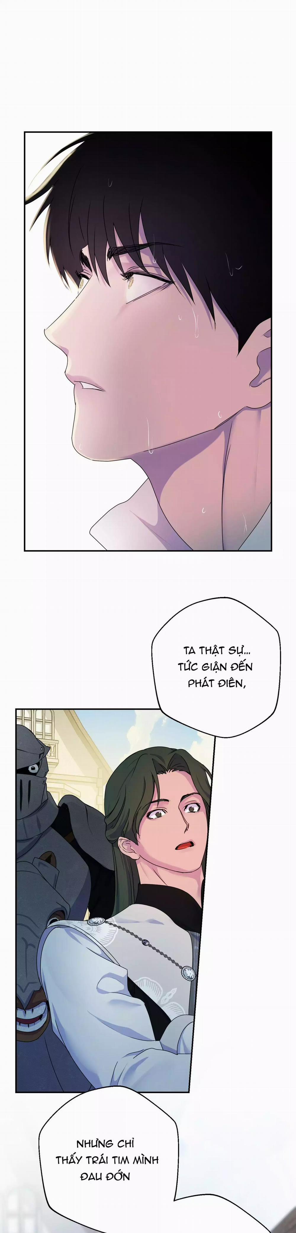 Đóa Hoa Của Alosha 33 trang 12