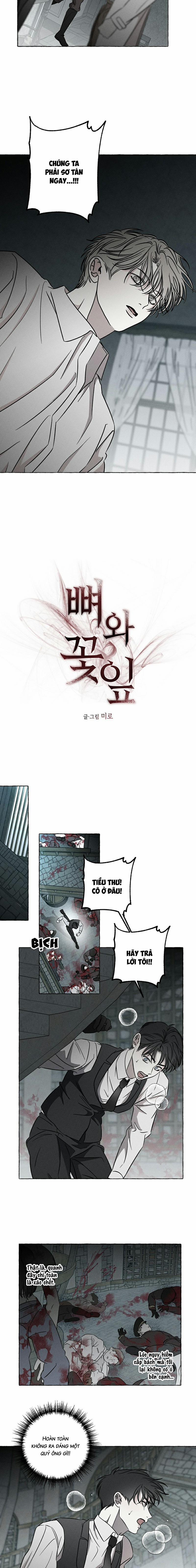 Đóa Hoa Xương 24 trang 8