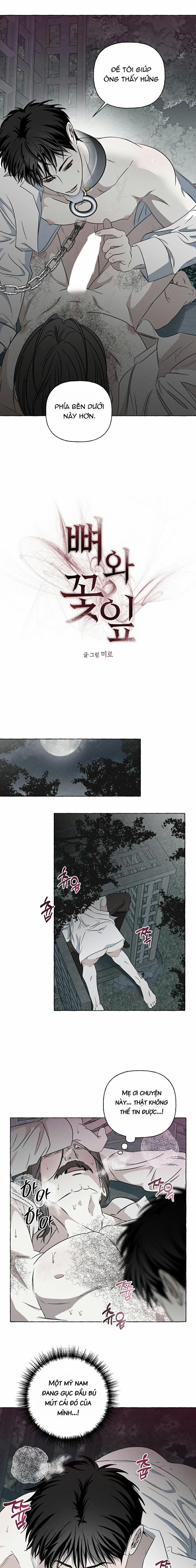Đóa Hoa Xương 27 trang 5