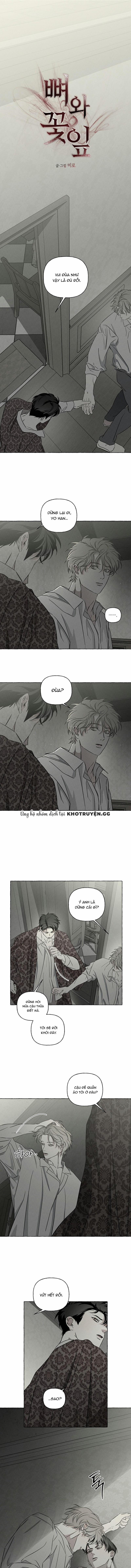 Đóa Hoa Xương 37 trang 0