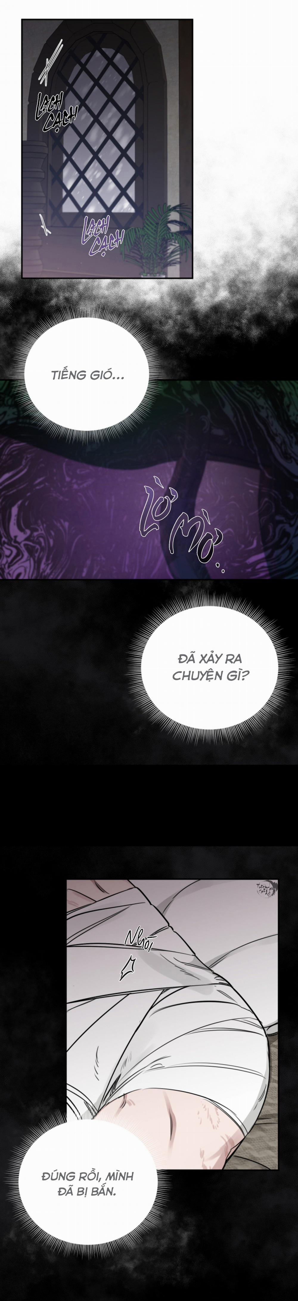 Đoá Hồng Và Ly Champagne 25 (Season 0 trang 19