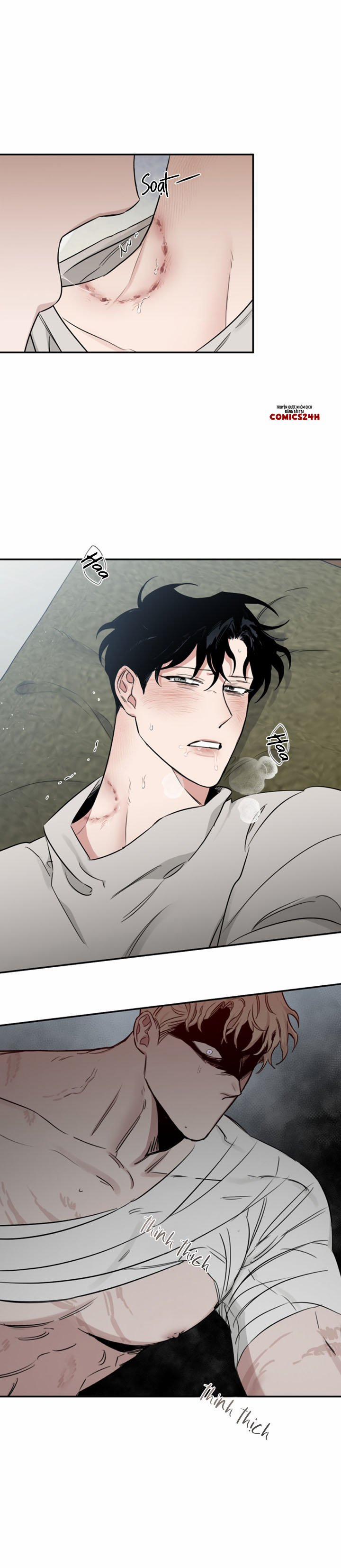 Đoá Hồng Và Ly Champagne 29 trang 4