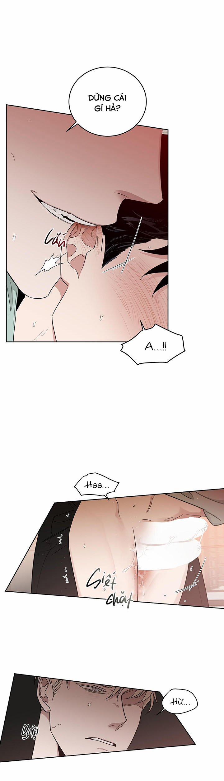 Đoá Hồng Và Ly Champagne 34 trang 12