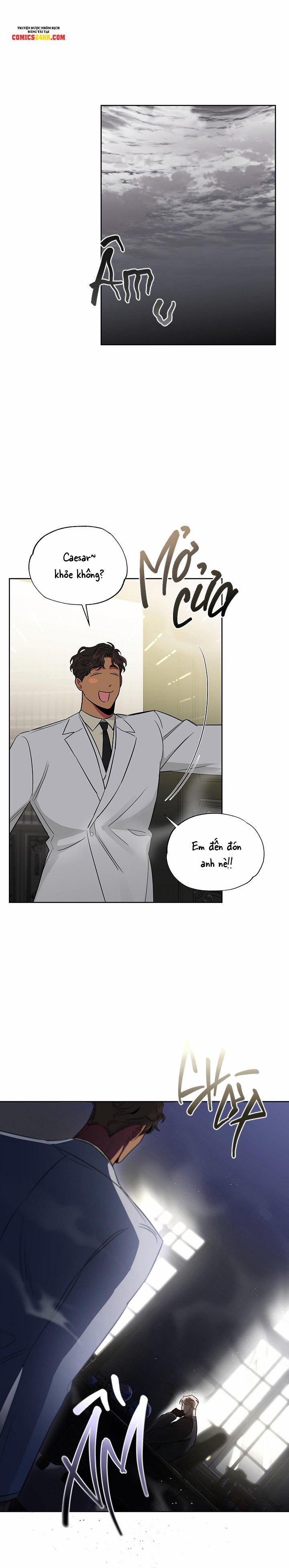 Đoá Hồng Và Ly Champagne 38 trang 1