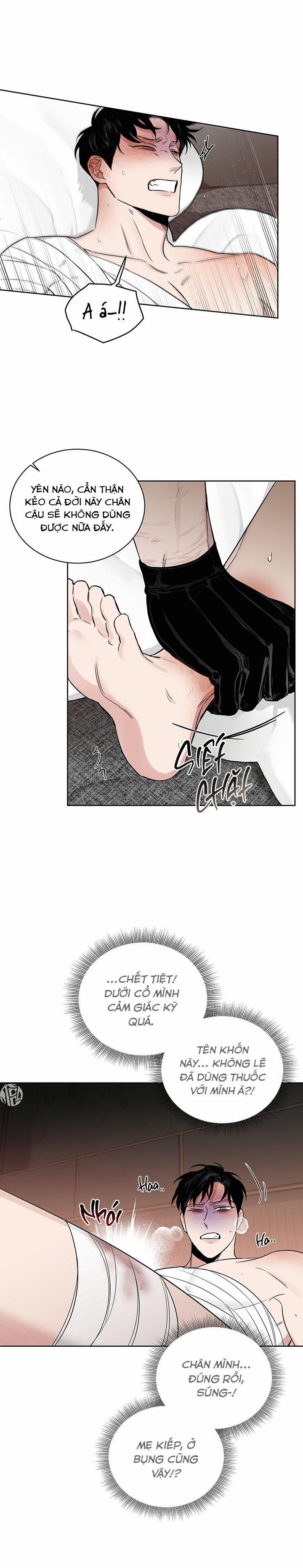 Đoá Hồng Và Ly Champagne 42 trang 5