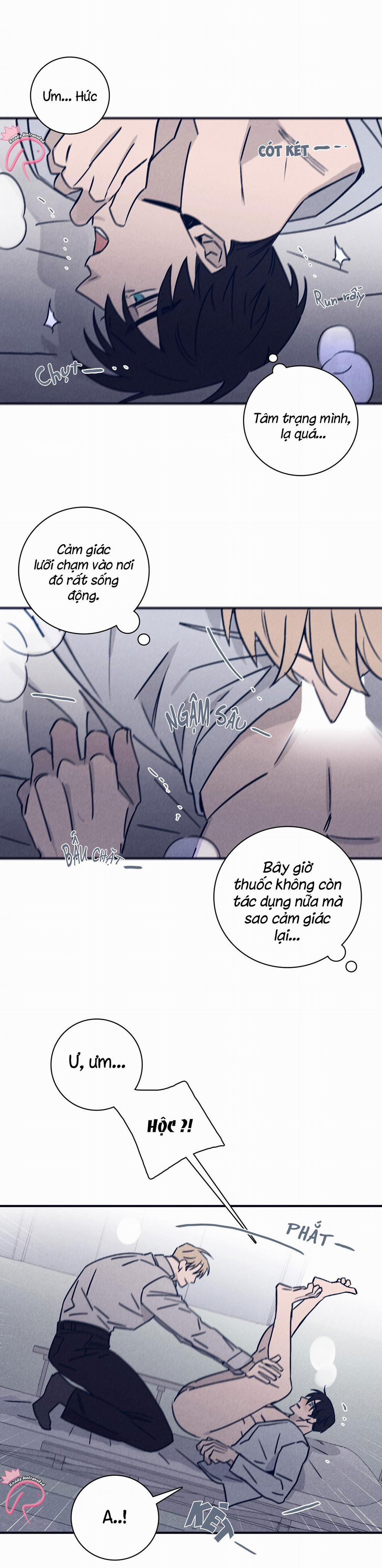 Độc Dược (Marcel) 37 trang 5