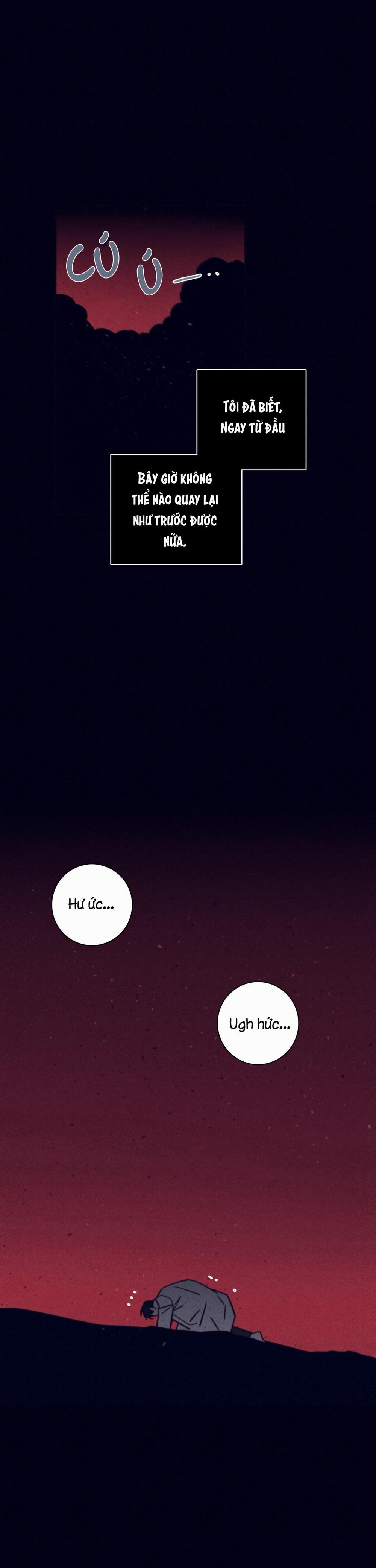 Độc Dược (Marcel) 41 trang 12