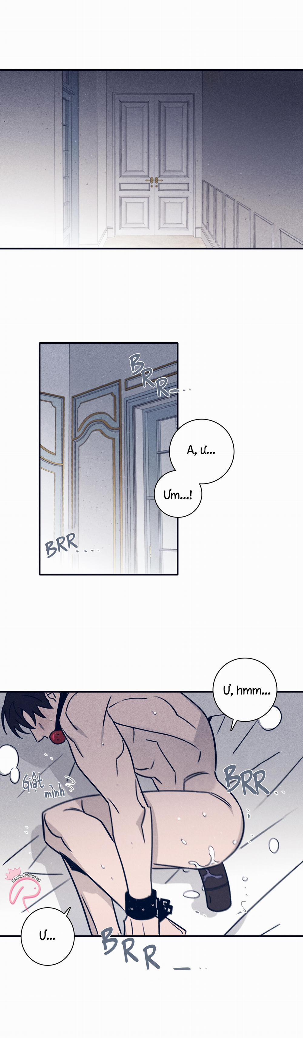 Độc Dược (Marcel) 42 trang 28