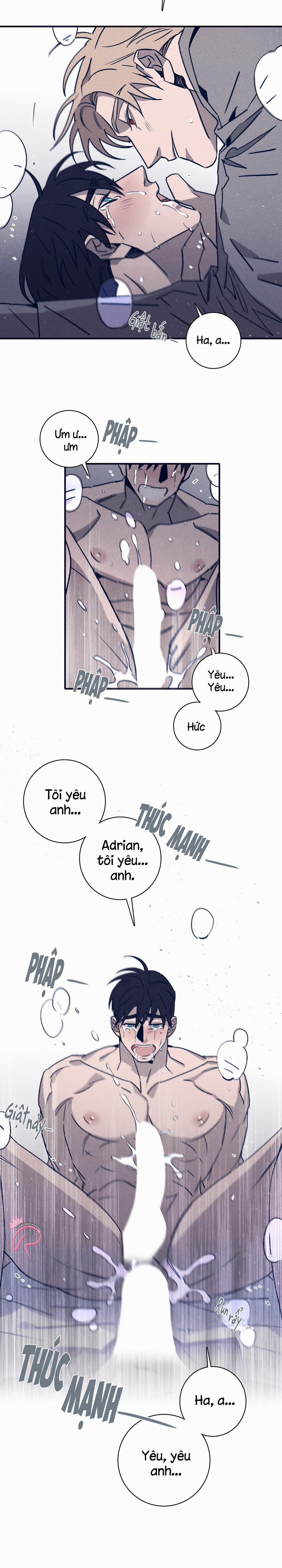 Độc Dược (Marcel) 43 trang 11