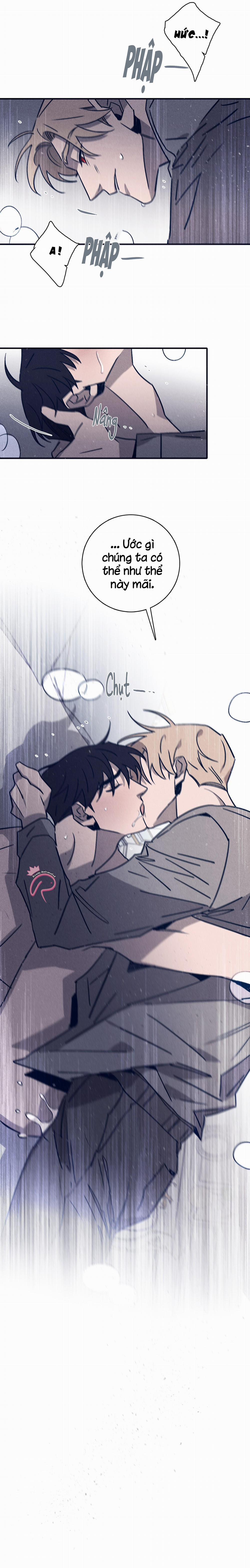 Độc Dược (Marcel) 43 trang 13