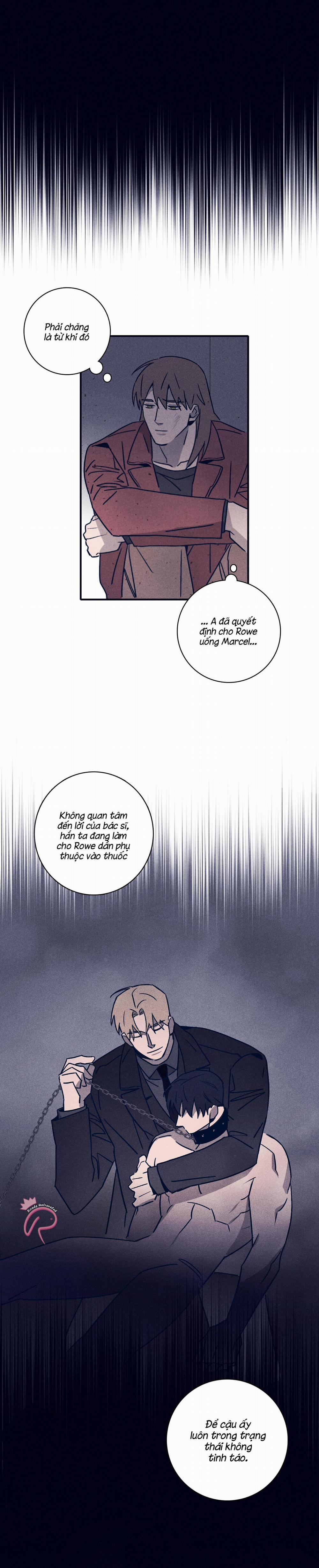 Độc Dược (Marcel) 48 trang 8