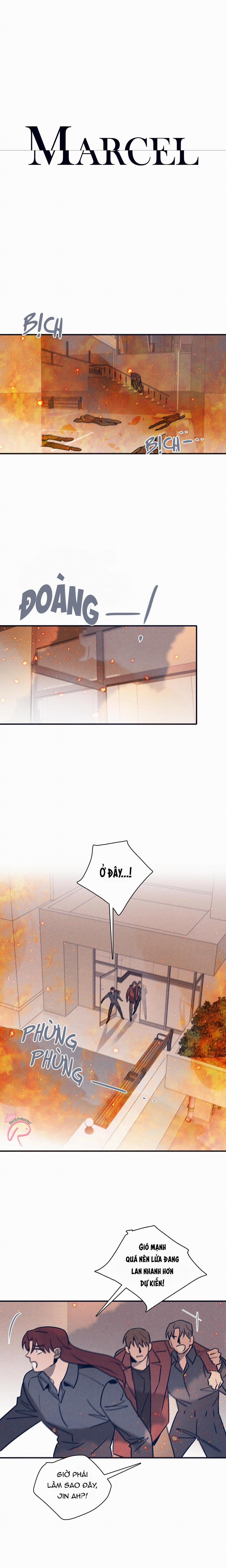 Độc Dược (Marcel) 55 trang 0