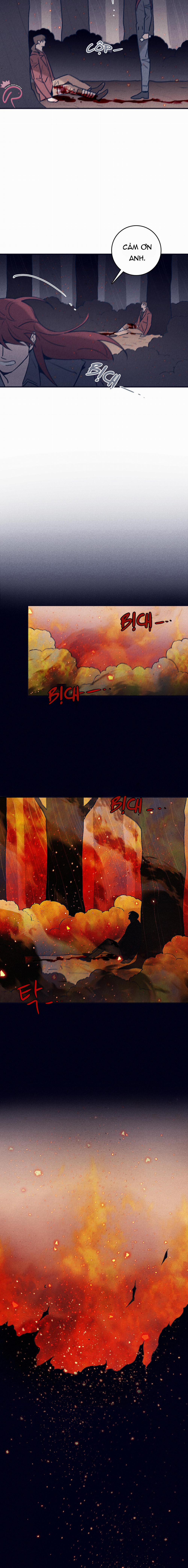 Độc Dược (Marcel) 55 trang 11