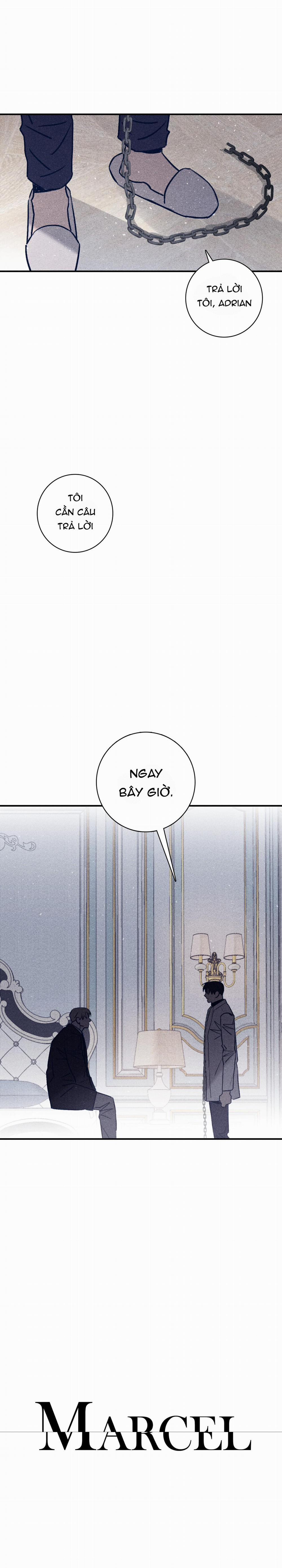 Độc Dược (Marcel) 56 trang 0