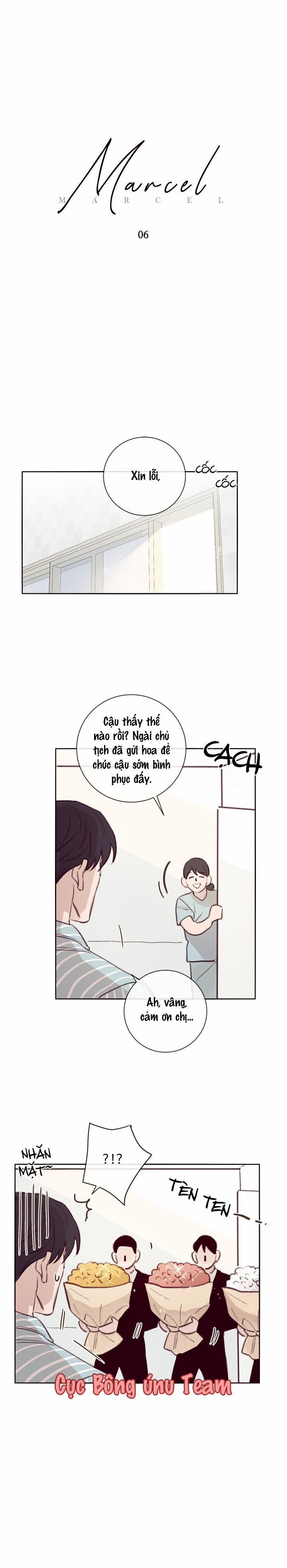 Độc Dược (Marcel) 6 trang 0