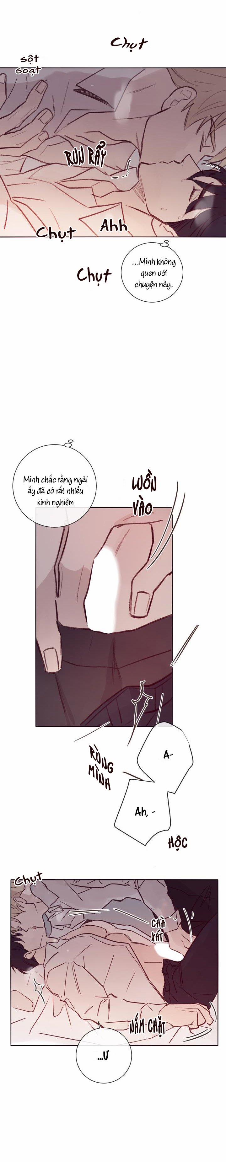 Độc Dược (Marcel) 8 trang 1