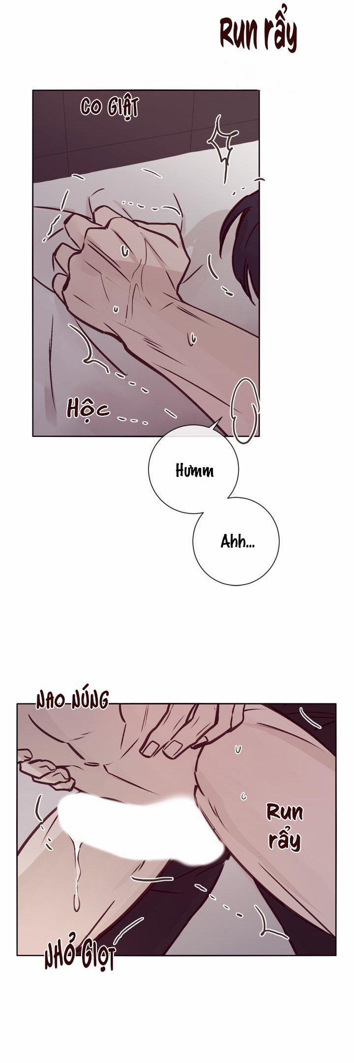 Độc Dược (Marcel) 8 trang 14