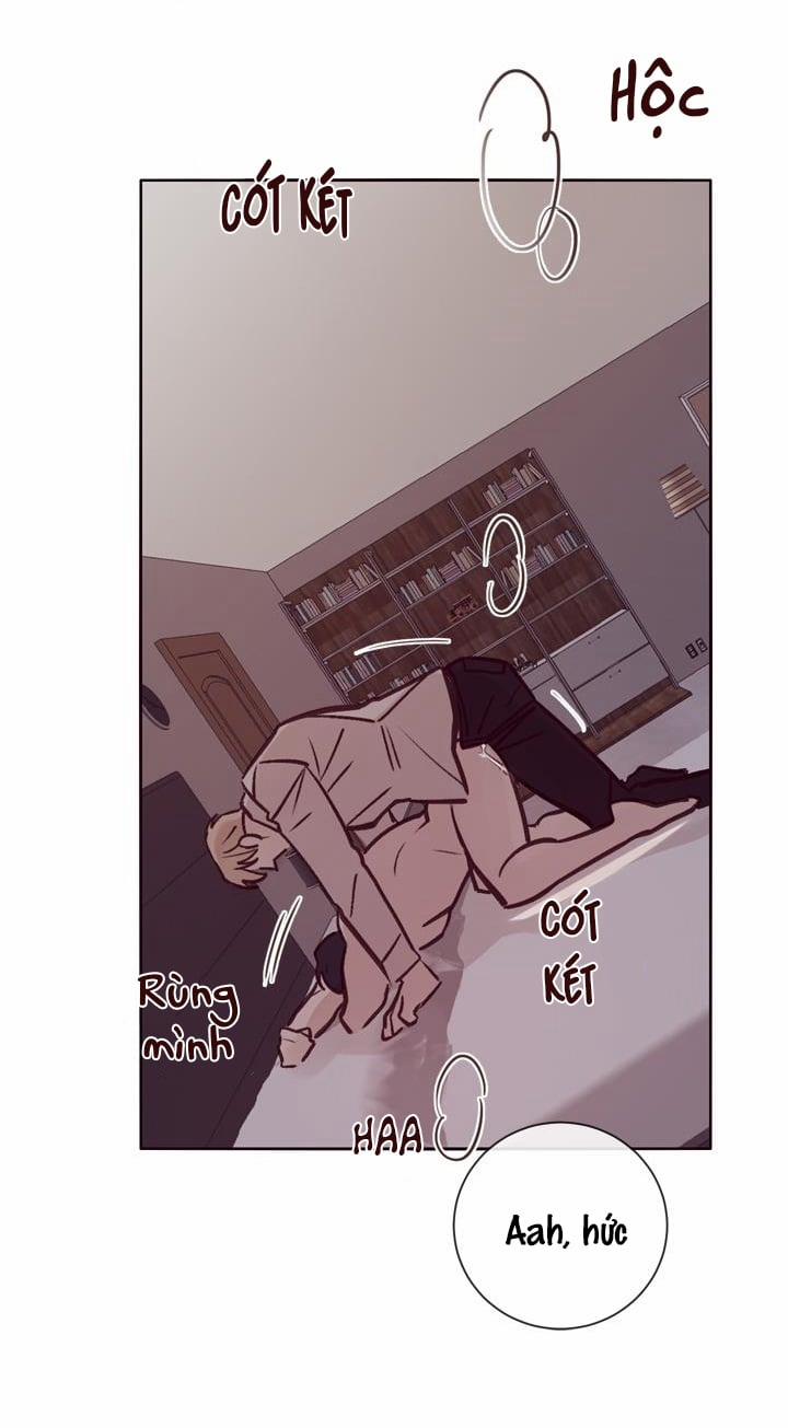 Độc Dược (Marcel) 8 trang 19