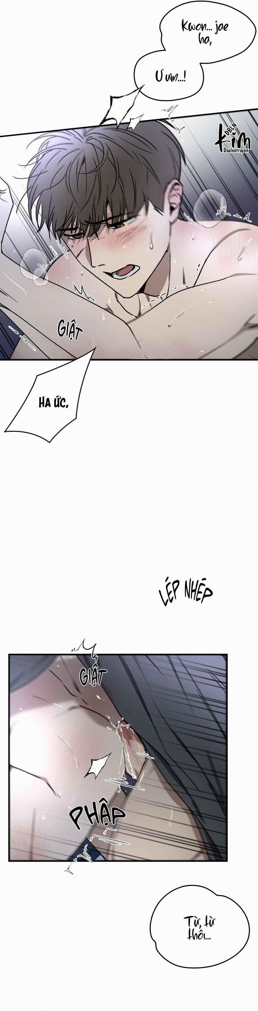 ĐỘC XÀ 11 trang 19