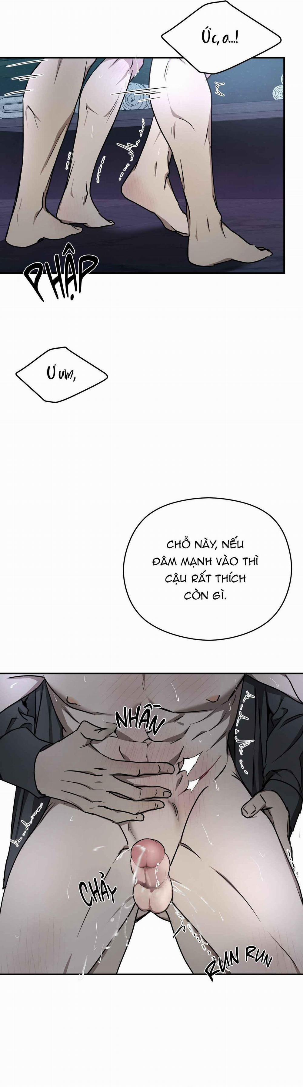 ĐỘC XÀ 11 trang 23