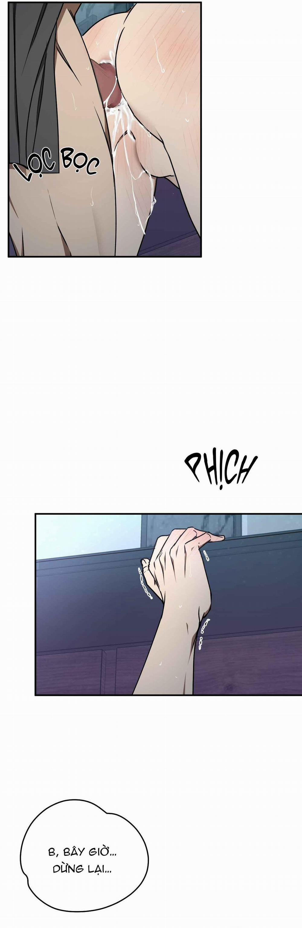 ĐỘC XÀ 11 trang 29