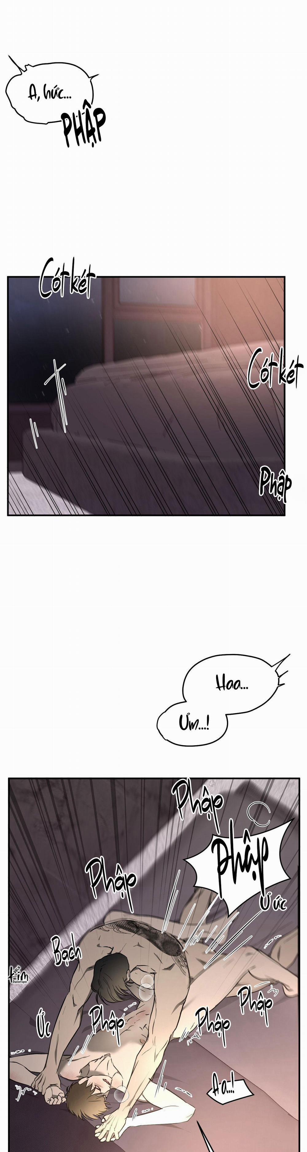 ĐỘC XÀ 5 trang 17