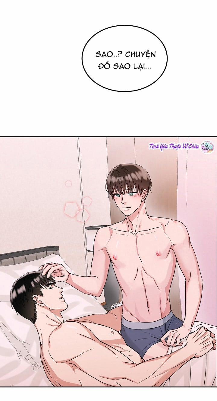 Đối Tác An Toàn 9 trang 29