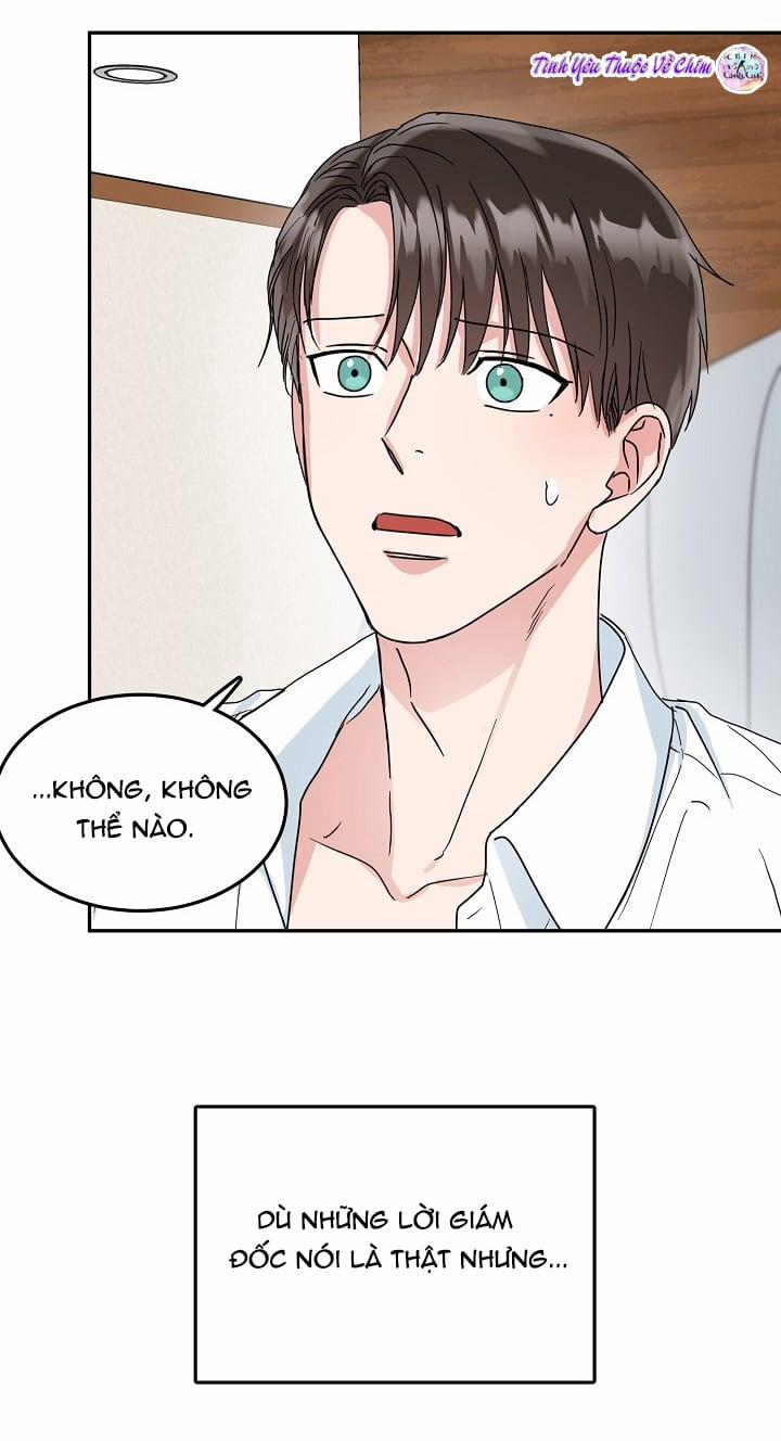 Đối Tác An Toàn 9 trang 47