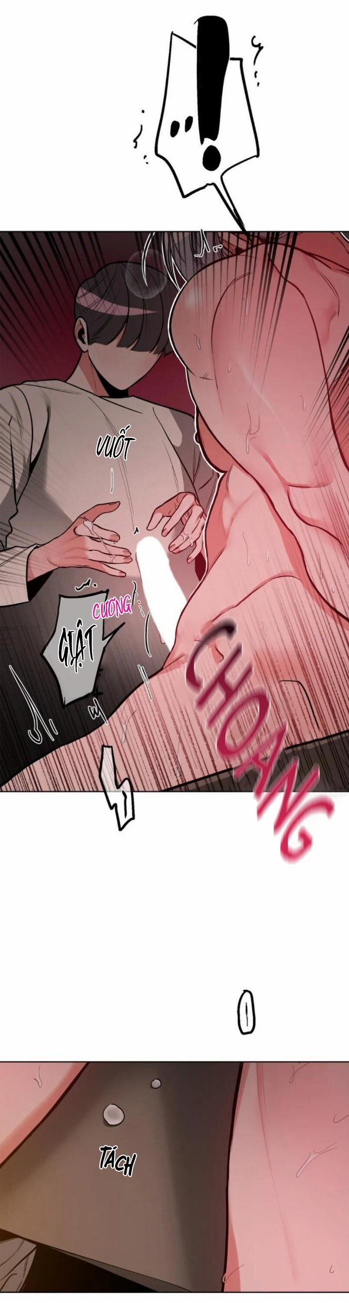 Đối Tác Cơ Thể Hoàn Hảo 12 trang 16