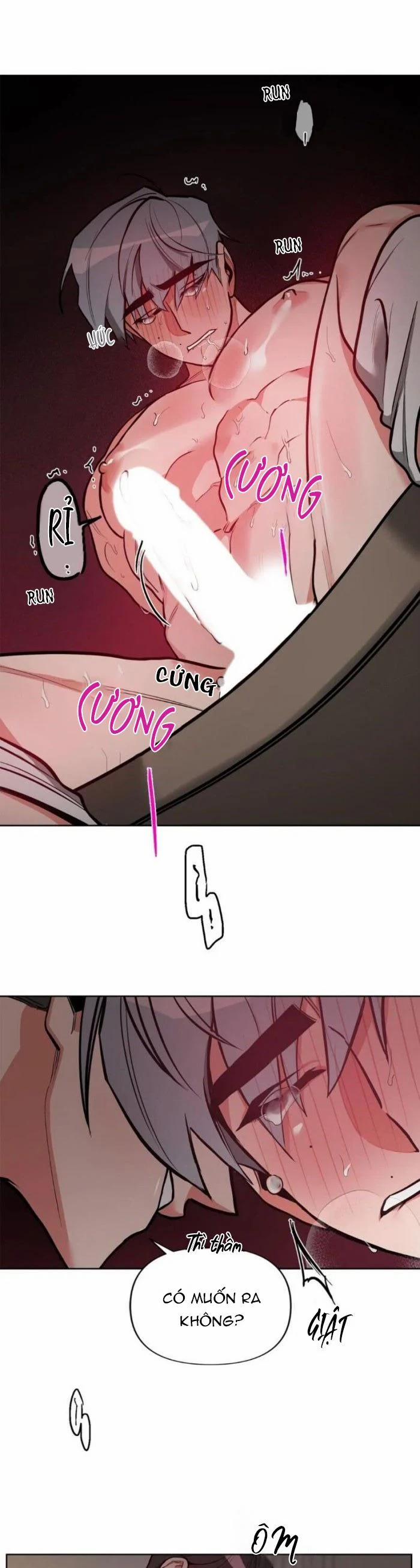 Đối Tác Cơ Thể Hoàn Hảo 12 trang 17