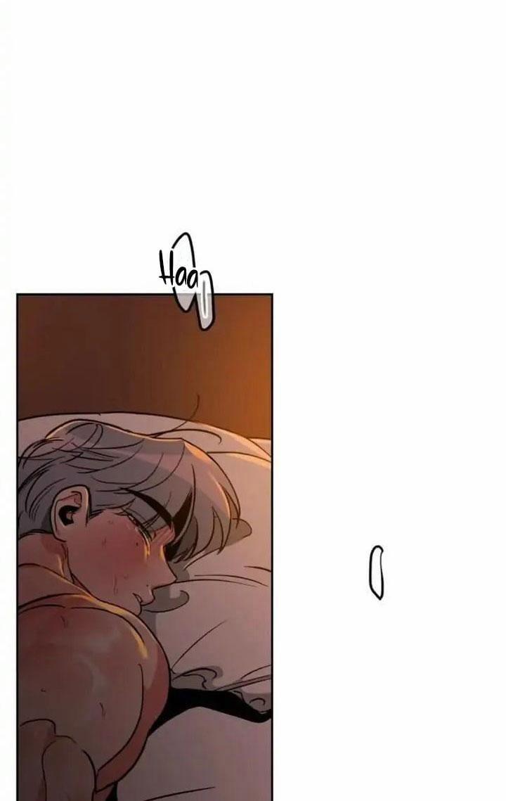 Đối Tác Cơ Thể Hoàn Hảo 21 trang 63