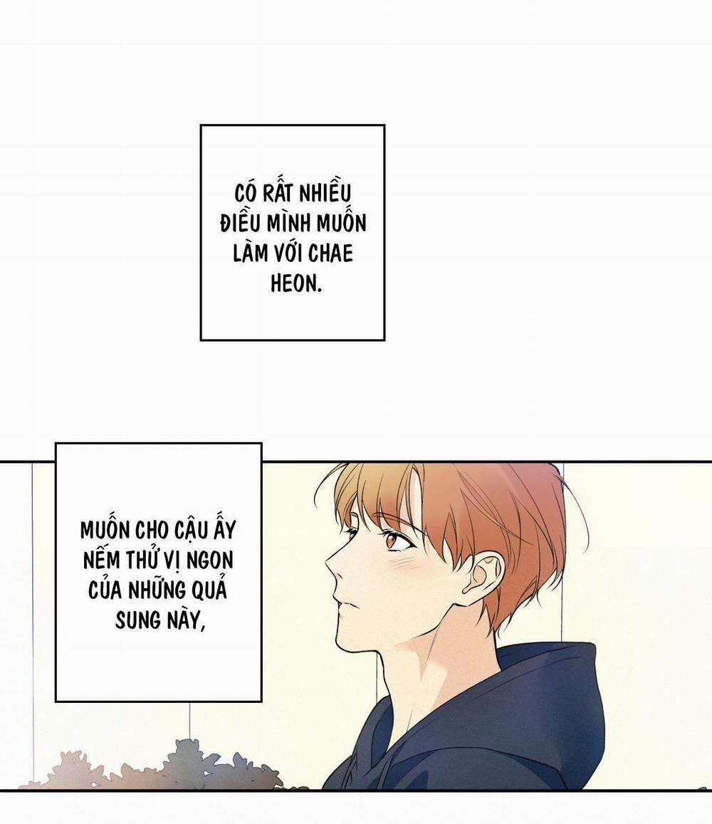 Đối Tốt Với Tôi Khó Vậy Sao? 29 trang 34