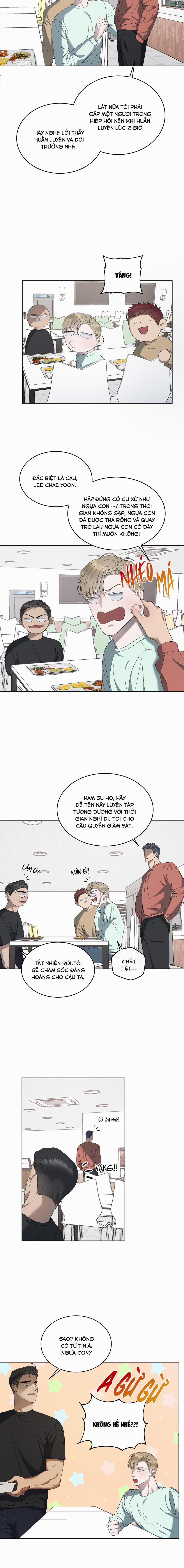 ĐỘI TRƯỞNG BÓNG NƯỚC 6 trang 12