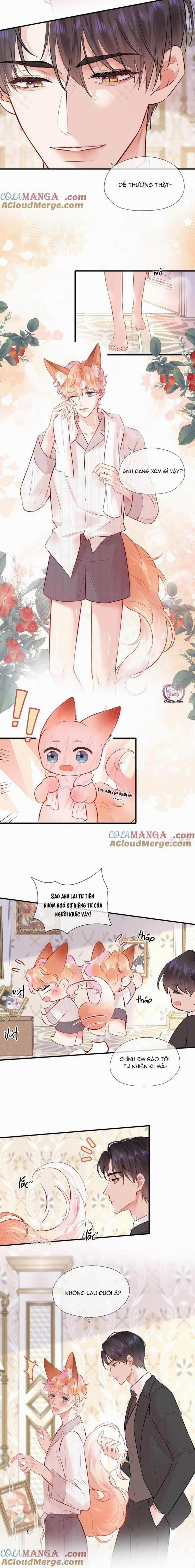 ĐỐI TƯỢNG CÔNG LƯỢC! THIẾT LẬP TÍNH CÁCH CỦA ANH BỊ MÉO MÓ RỒI! 12 trang 1