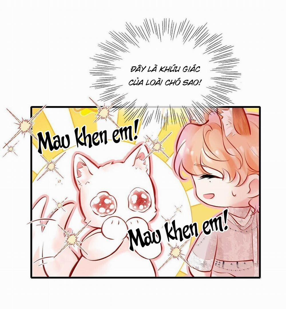 ĐỐI TƯỢNG CÔNG LƯỢC! THIẾT LẬP TÍNH CÁCH CỦA ANH BỊ MÉO MÓ RỒI! 19 trang 20