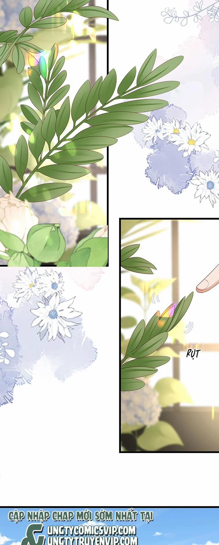 Đối Tượng Kinh Doanh Không Quá Hợp 24 trang 16