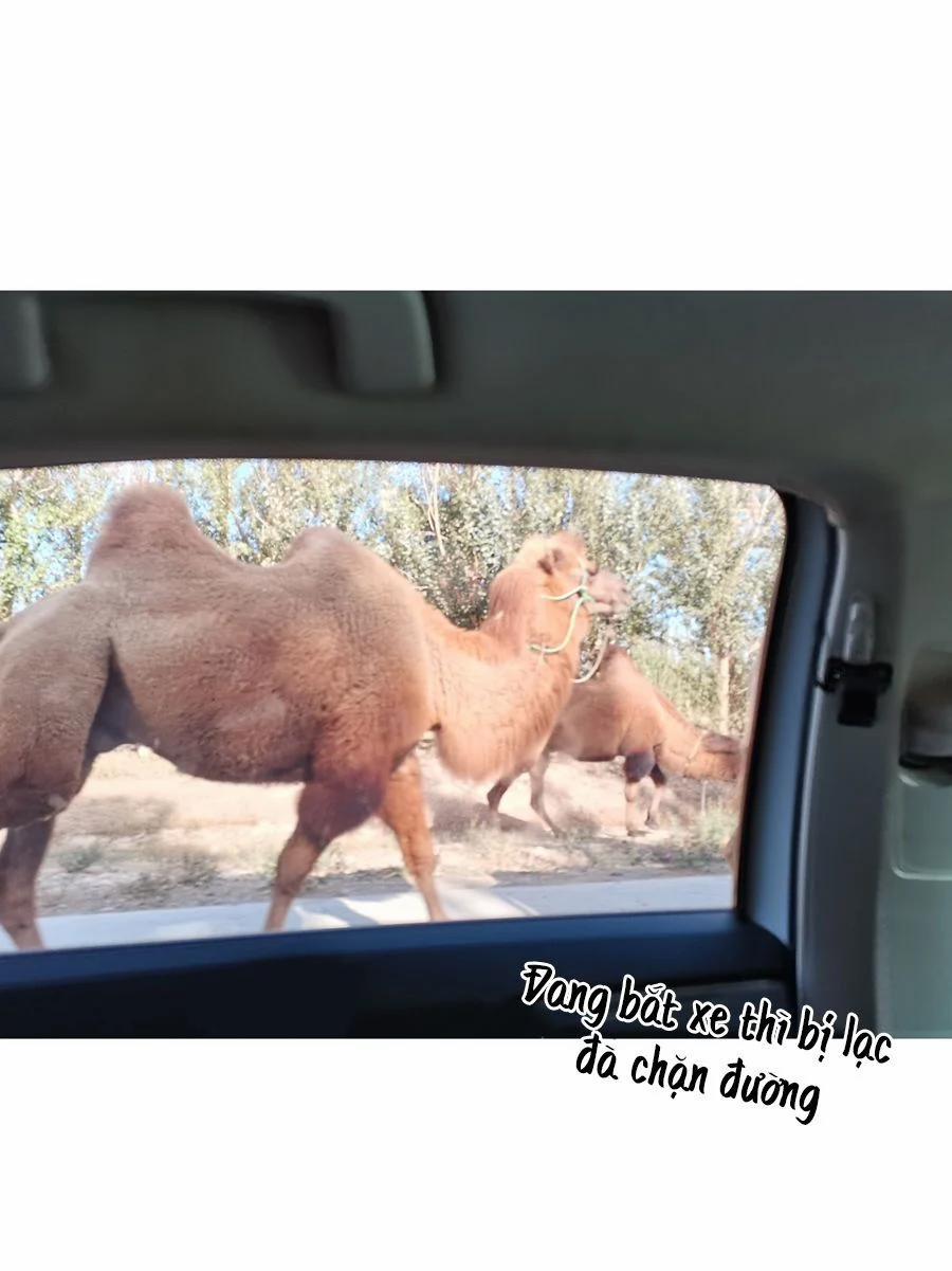 Don’t Say You Love Me – Đừng Nói Yêu Tôi 64.1 trang 3