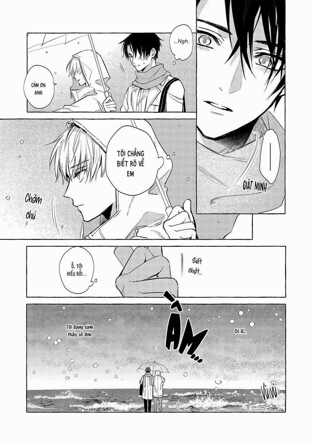 Dòng Chảy Mùa Xuân 3 trang 13