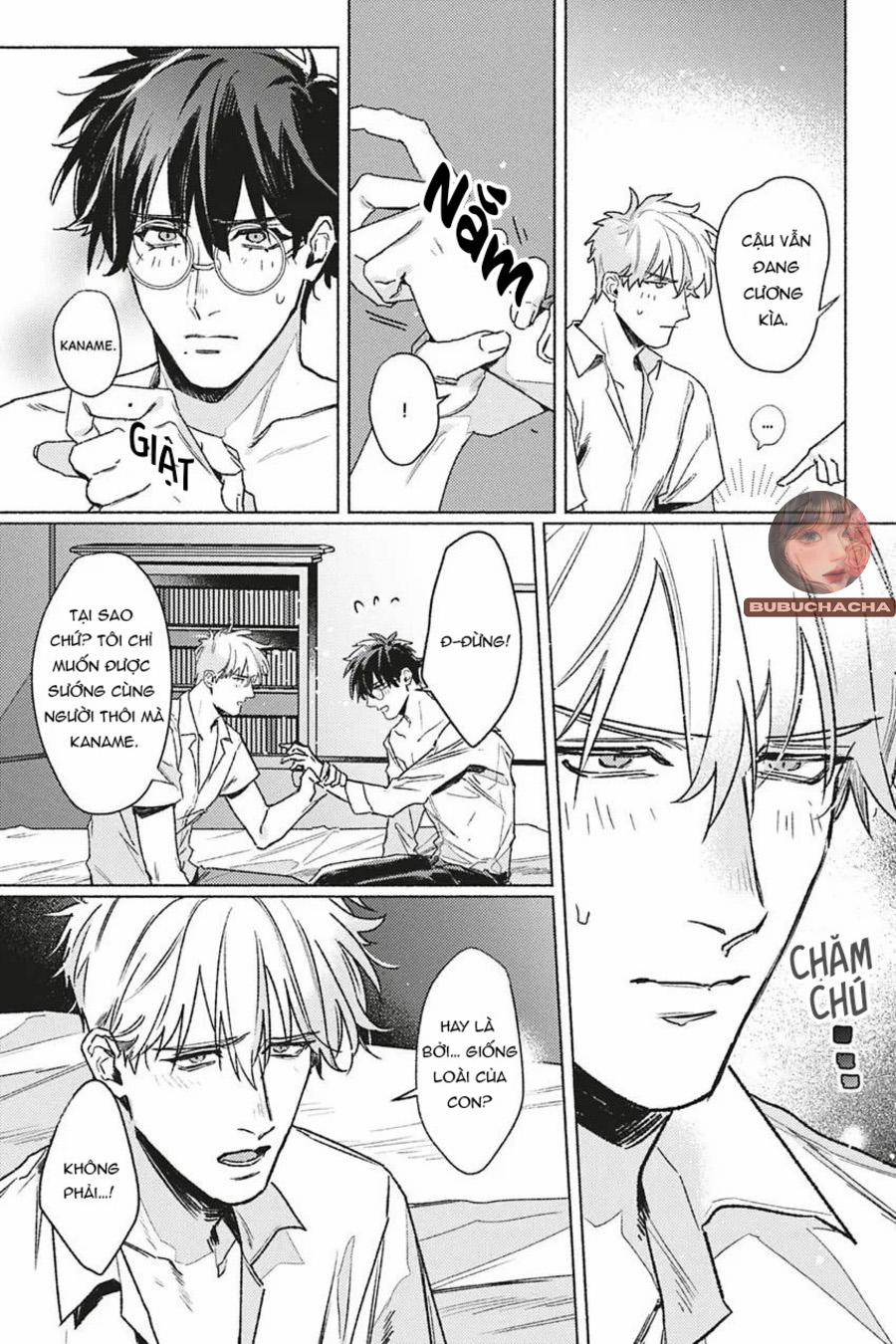 Dòng Máu Bạch Kim 2 trang 26