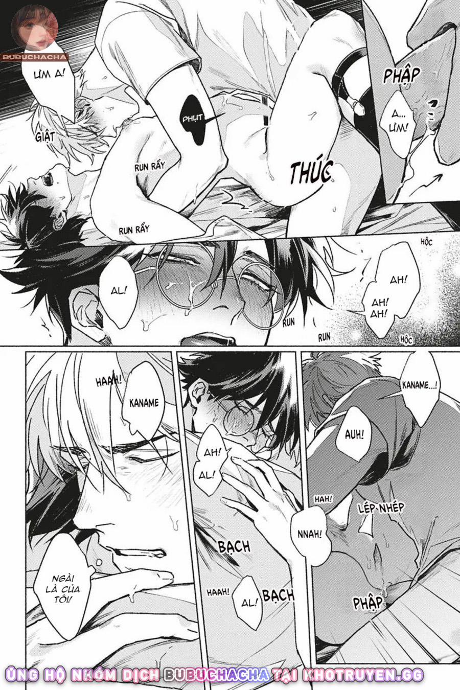 Dòng Máu Bạch Kim 2 trang 29