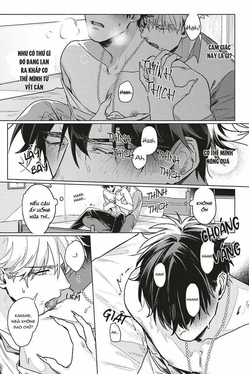 Dòng Máu Bạch Kim 3 trang 14