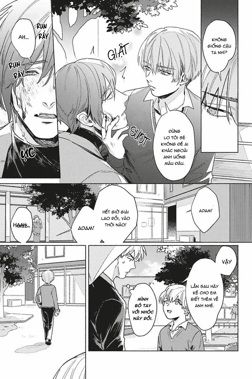 Dòng Máu Bạch Kim 3 trang 24