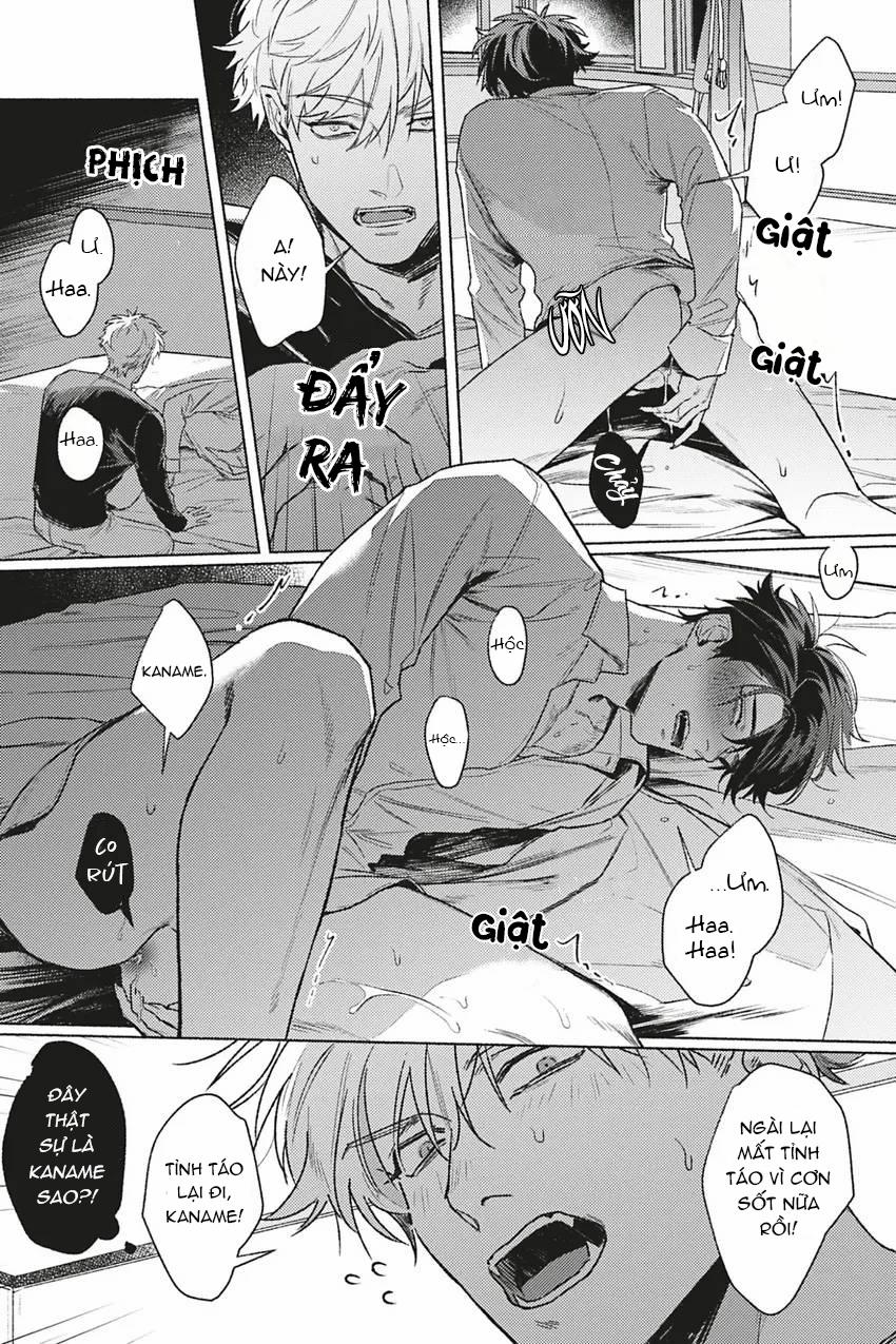 Dòng Máu Bạch Kim 4 trang 19