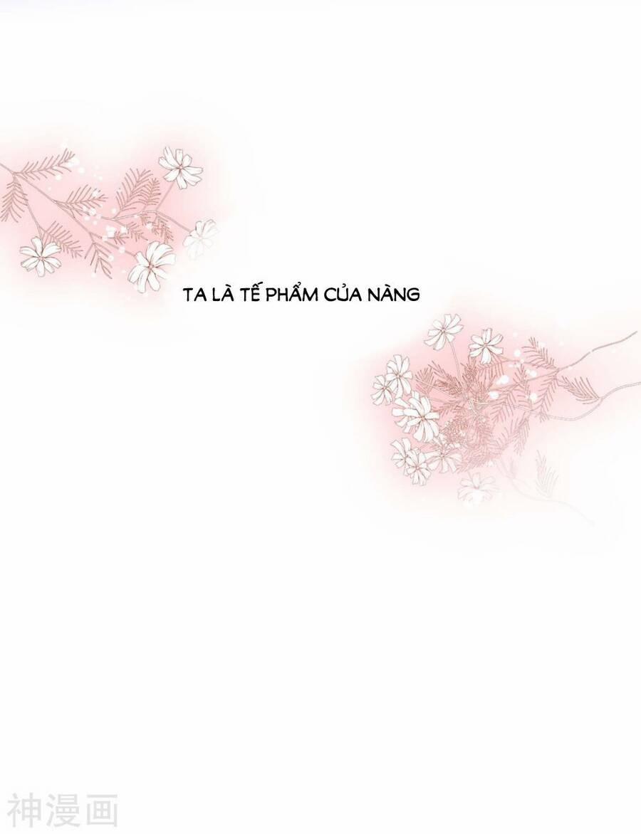 Dòng máu ngọt ngào 12 trang 13