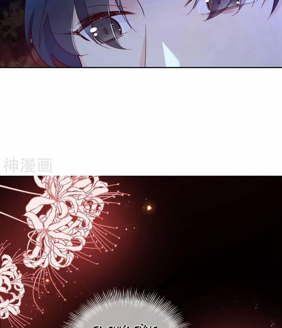 Dòng máu ngọt ngào 14 trang 28