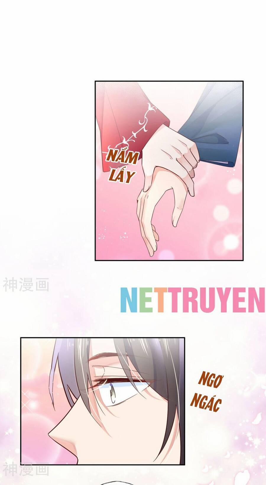 Dòng máu ngọt ngào 28 trang 8