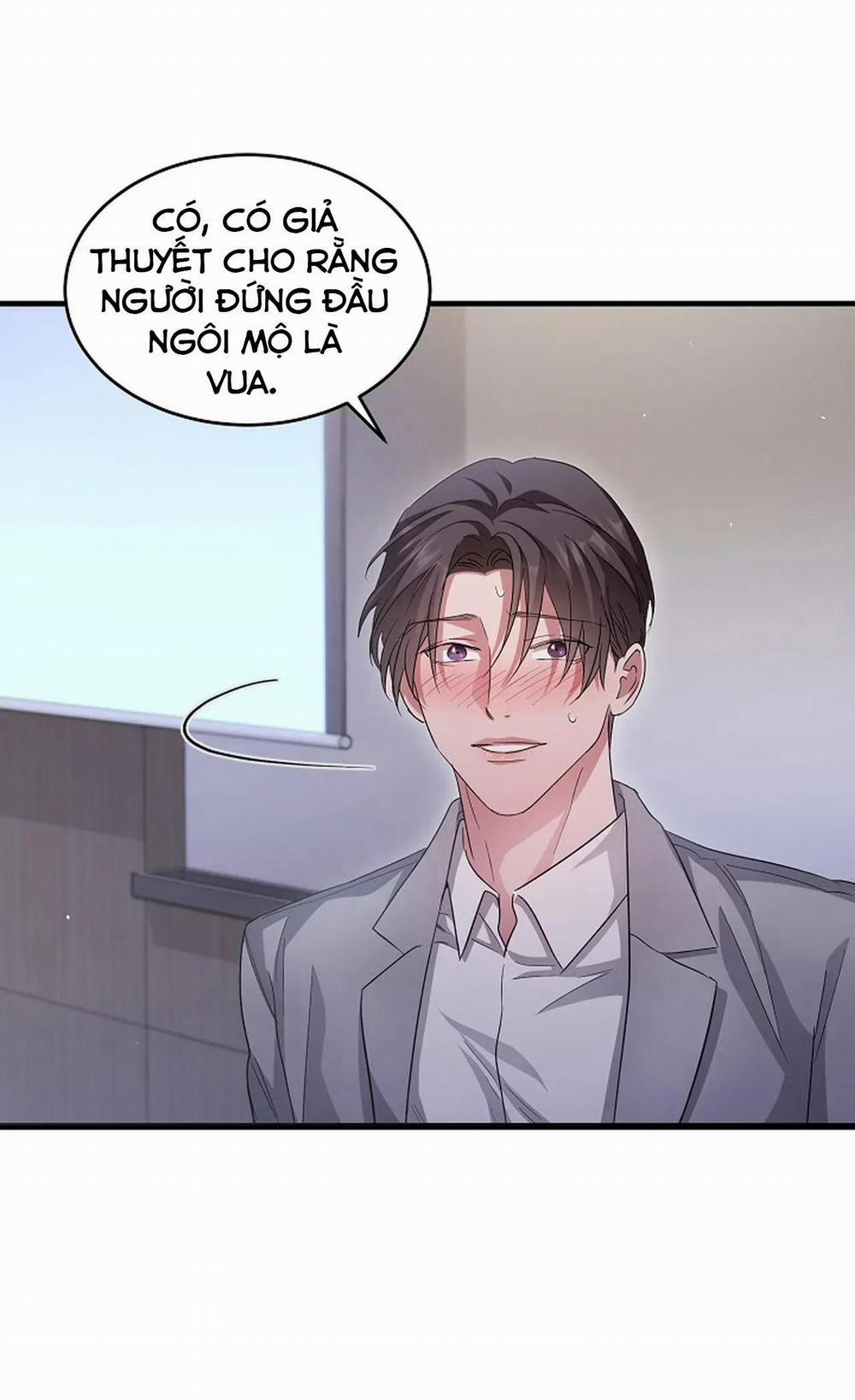 Dòng Sông Nô Lệ 15 trang 48