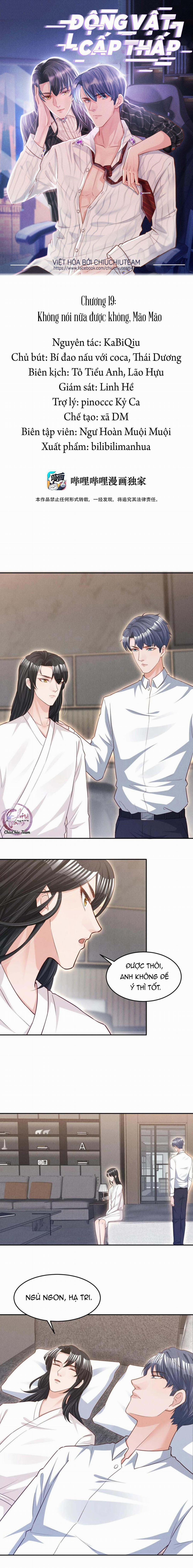 Động Vật Cấp Thấp (END) 19 trang 0