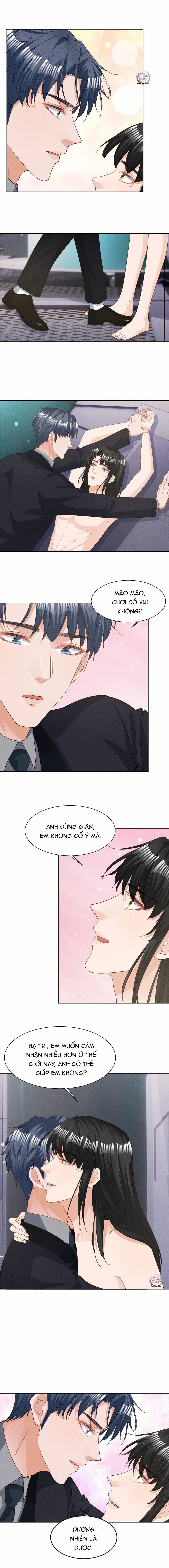 Động Vật Cấp Thấp (END) 31 trang 1